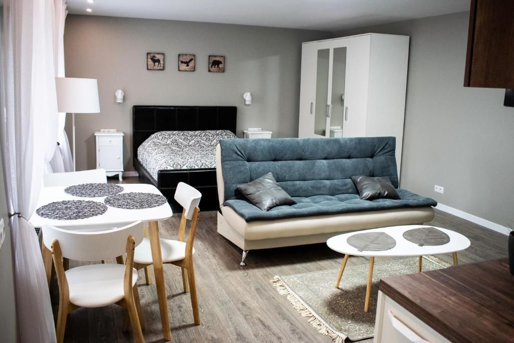 Апартаменты cozy apartment in old town Клайпеда-28